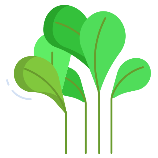 Watercress derived
